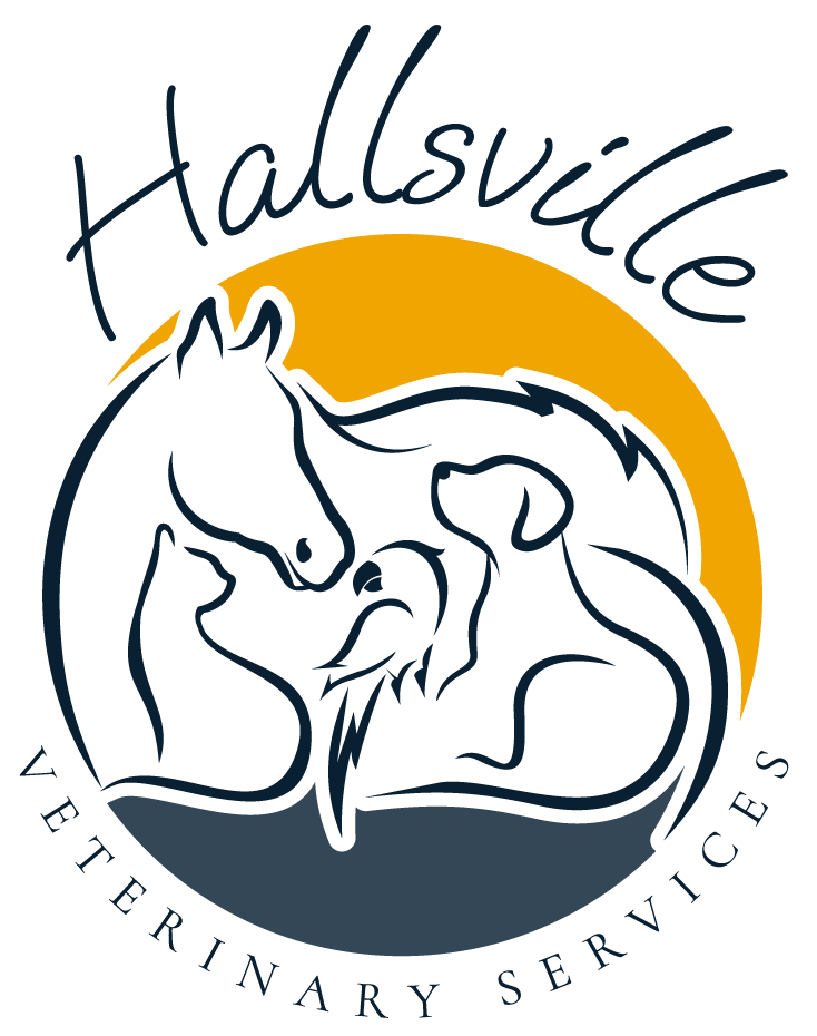 Hallsville Veterinary Services Logo