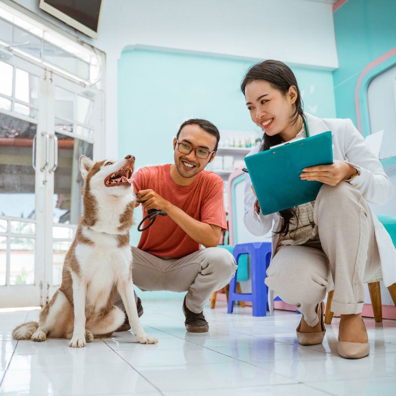 a man and woman gently pet a dog in a veterinary office