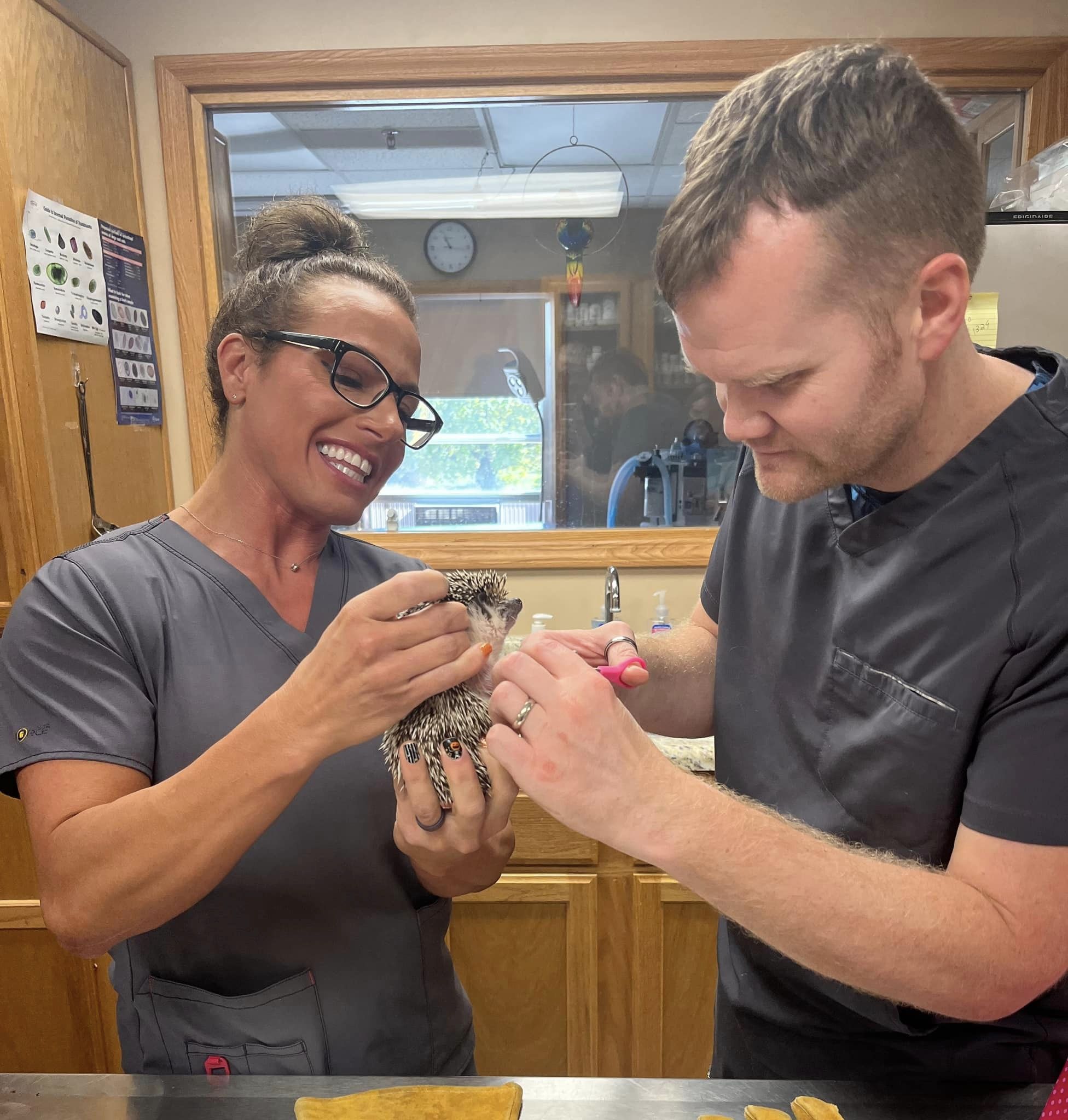 a man and woman in scrubs gently hold a small animal