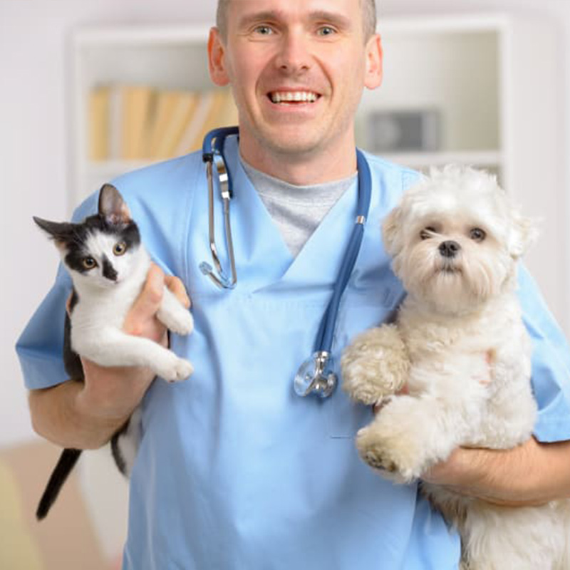 a man holds a puppy and a kitten